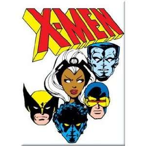  Marvel Comics X Men Magnet 29926MV: Home & Kitchen