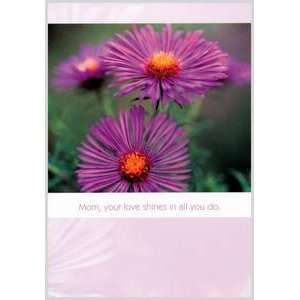    Holiday Mothers Day Greeting Card Love Shines: Everything Else