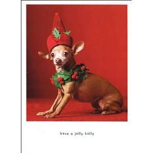  Holly Jolly Chihuahua Christmas Card Set: Everything Else