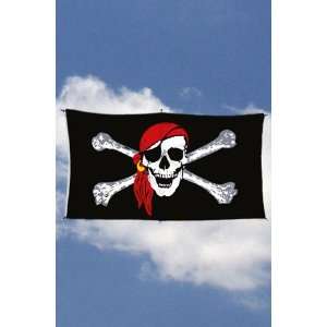  Flag Kite with Jolly Roger Flag: Toys & Games