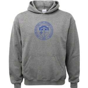   Institute Sport Grey Youth Logo Hooded Sweatshirt: Sports & Outdoors