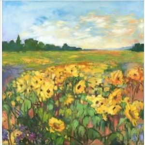  Phoenix Galleries HPM76 Sunflower Field on Canvas: Baby
