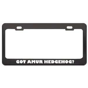 Got Amur Hedgehog? Animals Pets Black Metal License Plate Frame Holder 