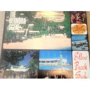    The Bermuda Scene Elbow Beach Club Vinyl LP: Everything Else