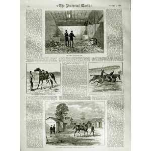   1882 JOCKY MAN SNOWDEN COBHAM BLAIR ATHOL RACE HORSE