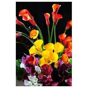 Calla Lilies Assorted Colors 60 Flowers:  Grocery & Gourmet 