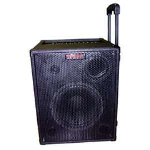   Channel 80 Watt Portable Sound System: MP3 Players & Accessories