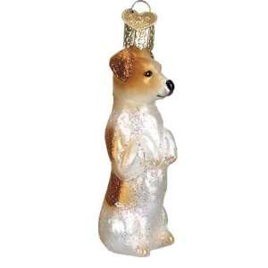  Old World Christmas Jack Russell Ornament