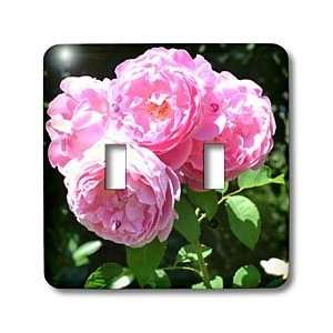   Pink Roses Flowers   Light Switch Covers   double toggle switch: Home