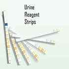   Parameter Test Urine Reagent Strip (URS) 50 Strips FDA Approved & CE