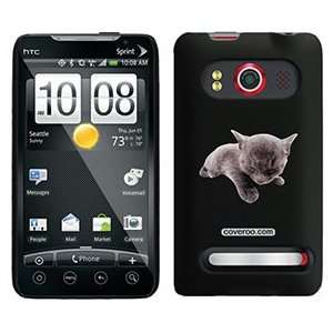  Russian Blue on HTC Evo 4G Case  Players & Accessories