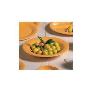   , Inc Thunder Group Salad Bowl 9.25in 1 DZ CR5809YW: Home & Kitchen