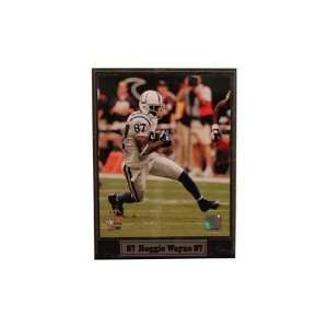   FBIND87 Indianapolis Colts Reggie Wayne 9x12 Plaque: Sports & Outdoors