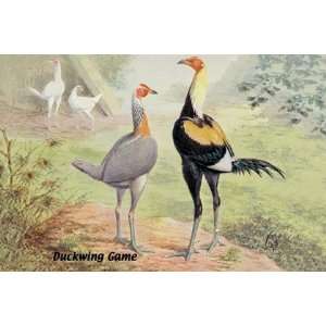  Duckwing Game (Chickens) by Unknown 18x12: Toys & Games