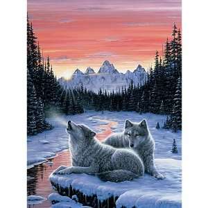   Winters Dawn Glow in the Dark Jigsaw Puzzle 1000 Pieces: Toys & Games