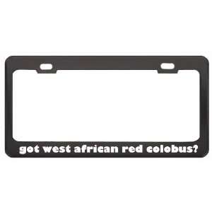 West African Red Colobus? Animals Pets Black Metal License Plate Frame 