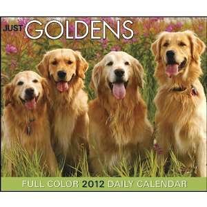  Goldens 2012 Daily Box Calendar