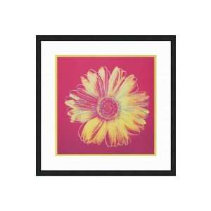  Framed And Matted Print Of Daisy (yellow On Pink)