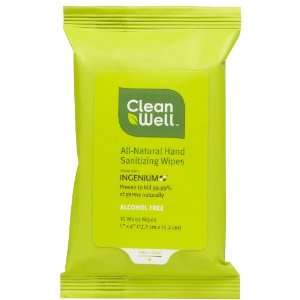  Clean Well Hand Sanitizing Wipes   Pocket Pack 10 Wipes 