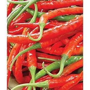  Pepper, Hot Long Red Slim Cayenne 1 Pkt. (100 seeds 
