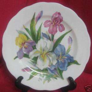 ROYAL STANDARD WINSOME Assorted Iris SALAD PLATE (s)  