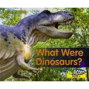  What Were Dinosaurs? (Acorn Plus) (9780431194370) Rebecca 