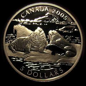 2005 CANADA SILVER $5 COIN WALRUS AND CALF 999 BIG WOW  