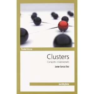  CLUSTERS (9788497455725): JAVIER GARCIA DIEZ: Books