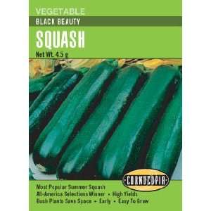  Summer Squash Zucchini Black Beauty Seeds Patio, Lawn 