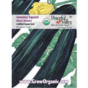  Organic Summer Squash Seed Pack, Black Beauty Patio, Lawn 
