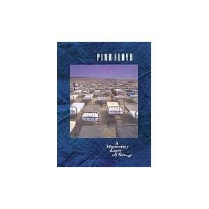  Pink Floyd   A Momentary Lapse of Reason Softcover Sports 
