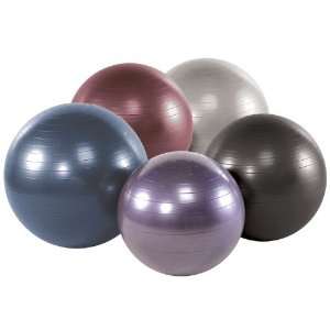 VersaBall PRO Stability Ball 