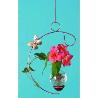 The Brass Butterfly Hanging C Plant Rooter 