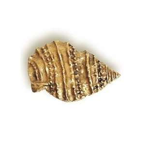  Pointed Seashell Cabinet Knob