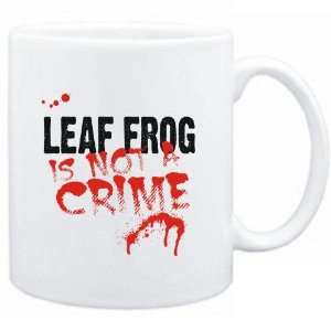    Being a  Leaf Frog is not a crime  Animals