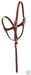NEW WEAVER LEATHER HALTER FOAL WESTERN WORKING HORSE  