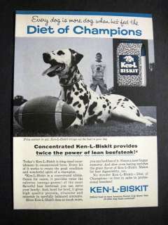 1960 Vintage Ken L Biskit Boy Football Player with Dalmatian Dog 60s 