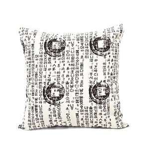   Asian Characters Throw Pillow Cover   20in X 20in