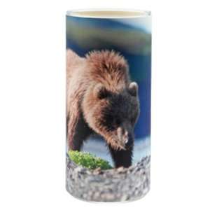 Northern Lights Candles Candle Card Grizzly Bears 