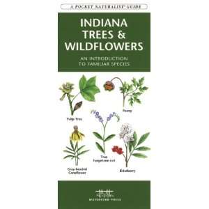    Folding Pocket Guide   Indiana Trees & Wildflowers 