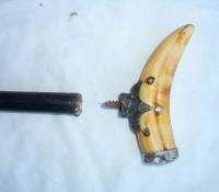 Antique Victorian Ox Bone Tooth Tusk Ebony Walking Stick Cane  