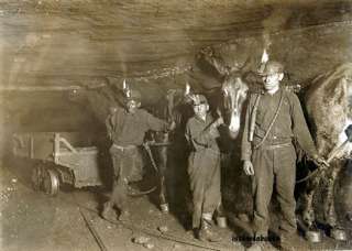 Gary West Virginia Coal Mine Miners Mules Boy Driver 1908 photo W VA 