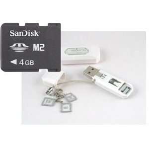 com Sandisk 4GB M2 Memory Stick Micro (SDMSM2 4096) & BlueProton USB 
