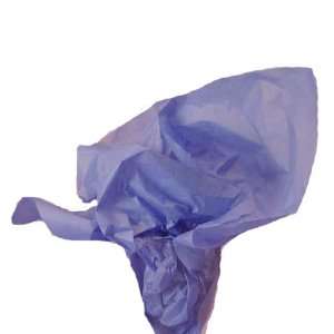  Iris Wrap Tissue Paper 20 X 30   48 Sheets: Health 