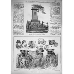    1884 Memorial Benjamin Webster Bulldog Show Crystal