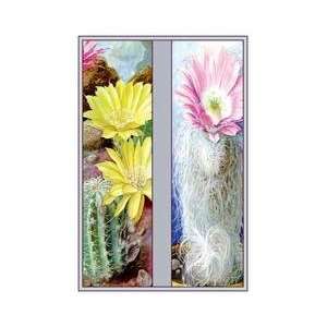  Flower Cactus and Flower 12x18 Giclee on canvas