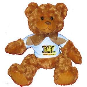   CHALLENGE FINALIST Plush Teddy Bear with BLUE T Shirt: Toys & Games