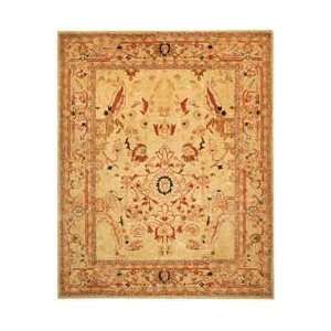   AN514A Ivory and Beige Traditional 6 x 9 Area Rug: Home & Kitchen