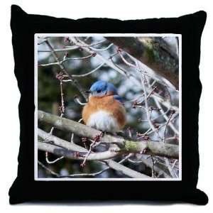  Eastern Bluebird Bird Throw Pillow by 