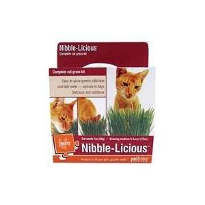  6 PACK NIBBLE LICIOUS (Catalog Category CatTREATS) Pet 
